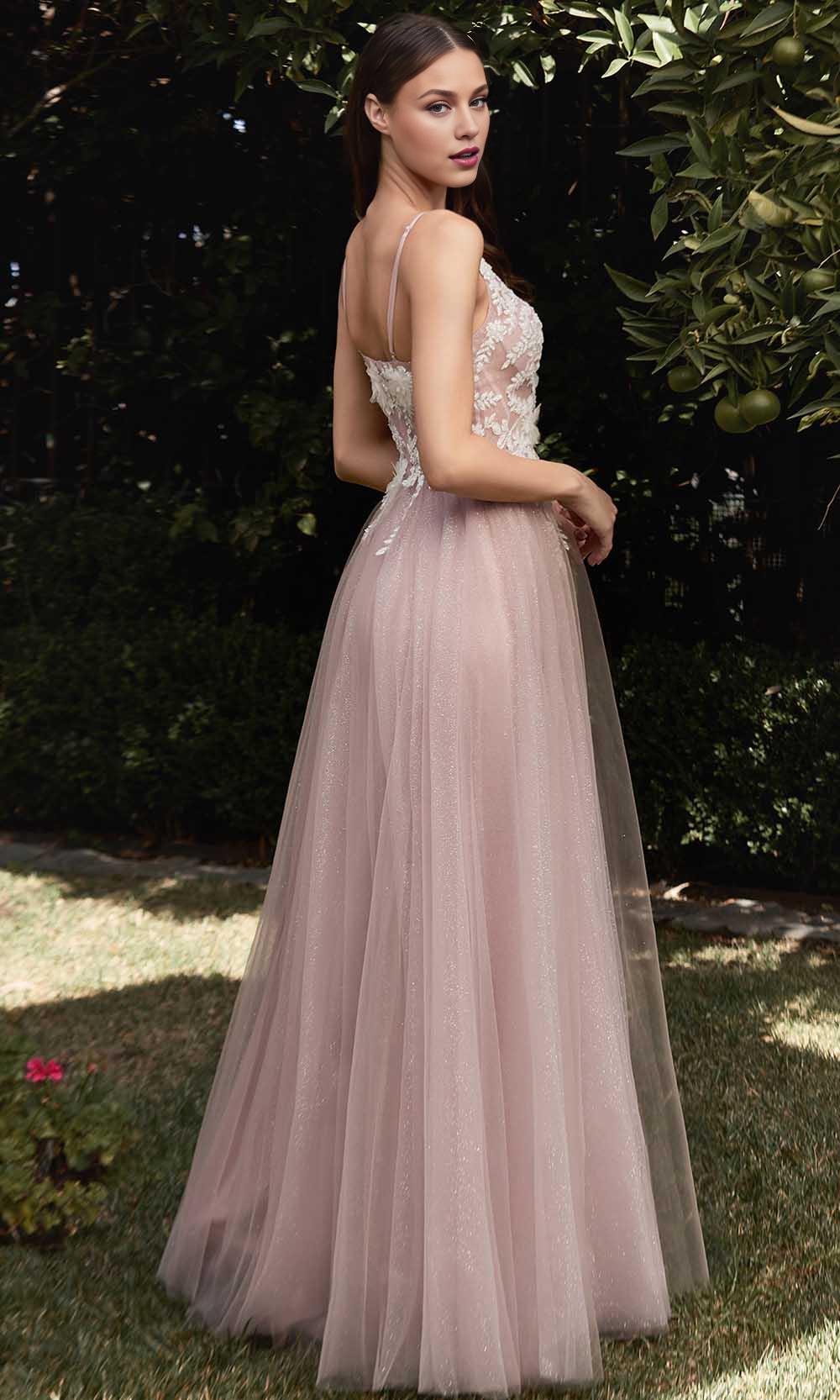 Evening Dresses For Women/ Sleeveless Spaghetti Strap Sheer lace Deep V-neck Mid-open Back Evening Dresses