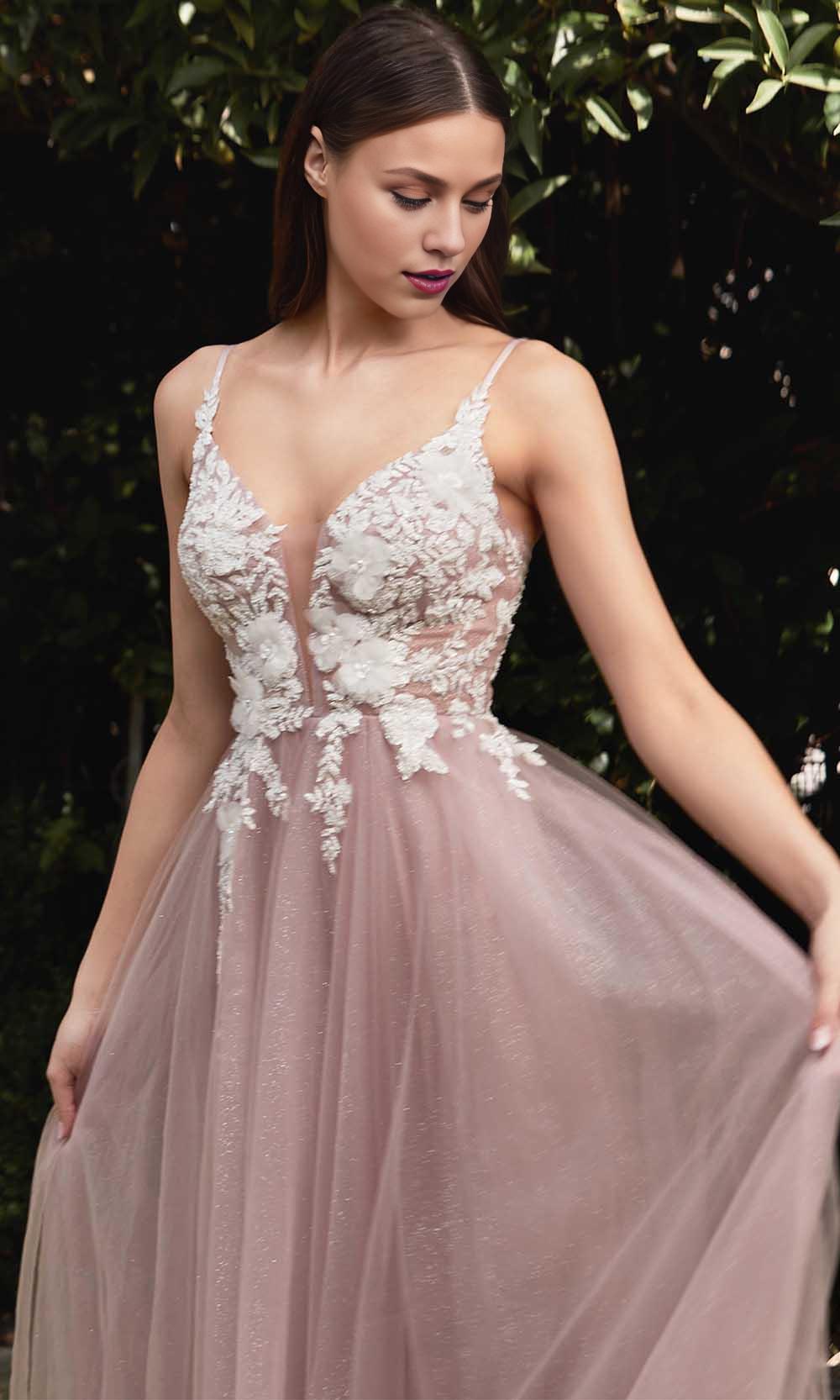 Evening Dresses For Women/ Sleeveless Spaghetti Strap Sheer lace Deep V-neck Mid-open Back Evening Dresses