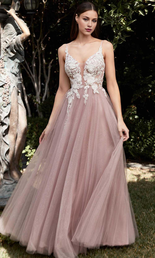 Evening Dresses For Women/ Sleeveless Spaghetti Strap Sheer lace Deep V-neck Mid-open Back Evening Dresses