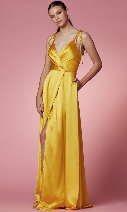 Evening Dresses For Women/ Sleeveless Tie Strap A-Line Mid-Open Back Prom Dress With Sweep Train Evening Dresses